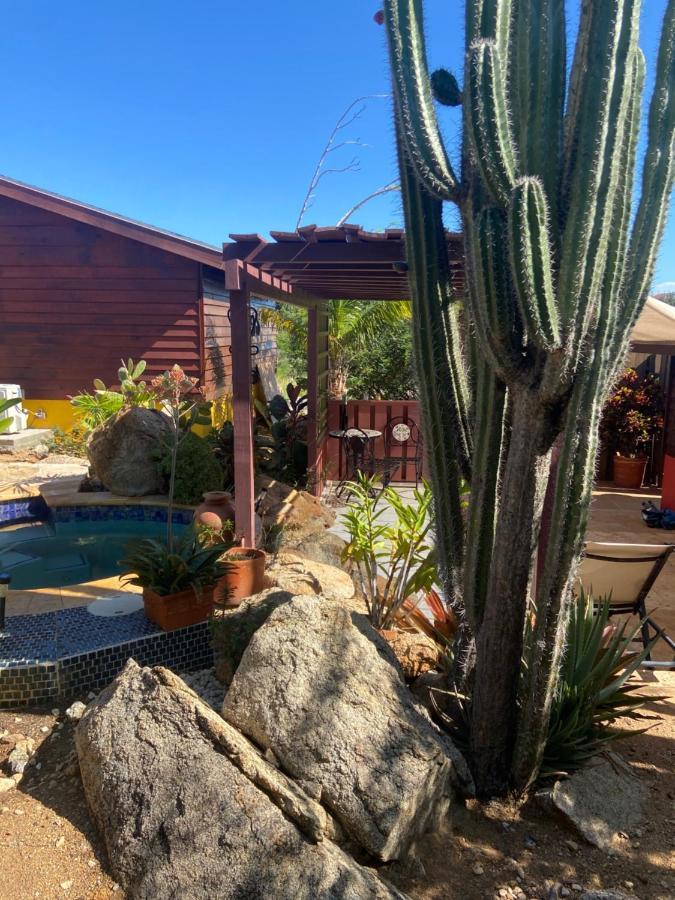 Cozy Studio With Private Spa Oranjestad Zewnętrze zdjęcie