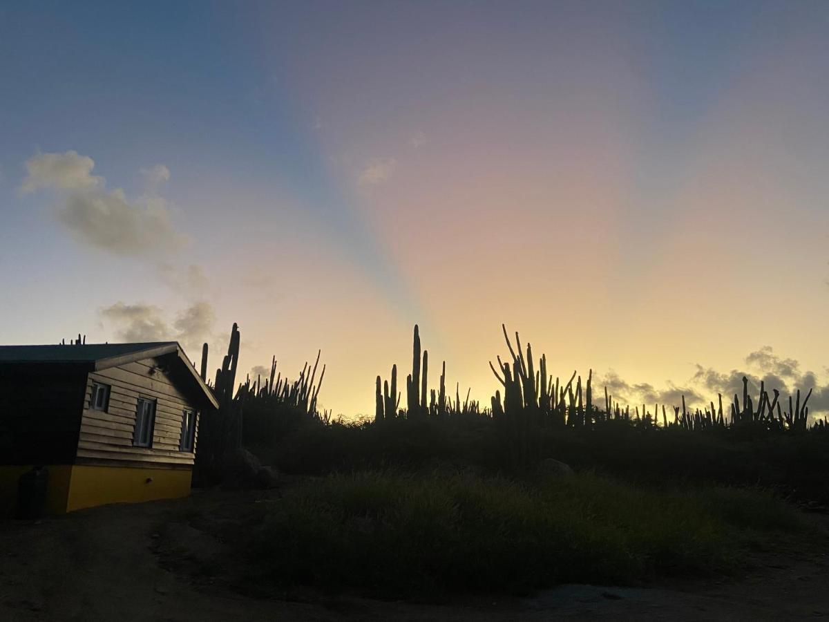 Cozy Studio With Private Spa Oranjestad Zewnętrze zdjęcie